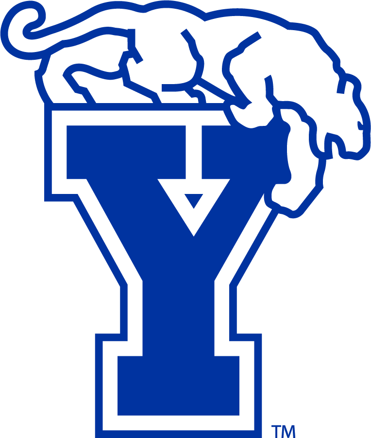 Brigham Young Cougars 1982-1999 Secondary Logo iron on transfers for T-shirts